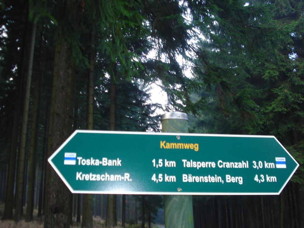 Ferienwohnung Kaufmann Sehma Dış mekan fotoğraf
